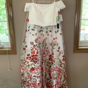 Trixxi Prom Dress (JC Penney)